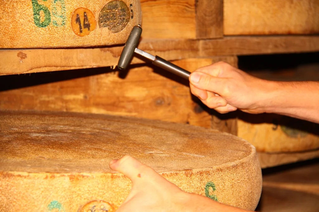 Fromager sondant son comté