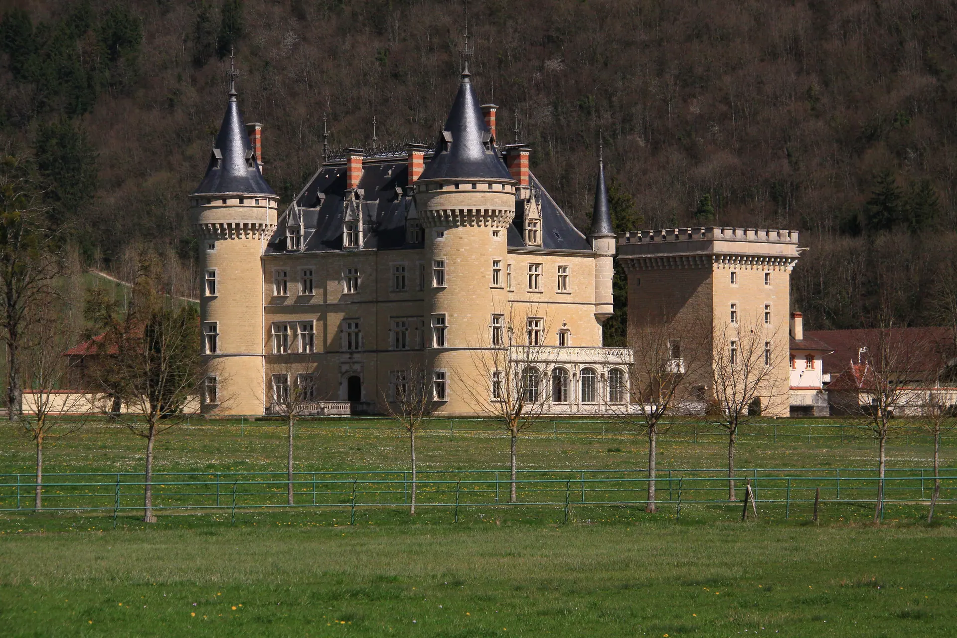 Château de Cornod