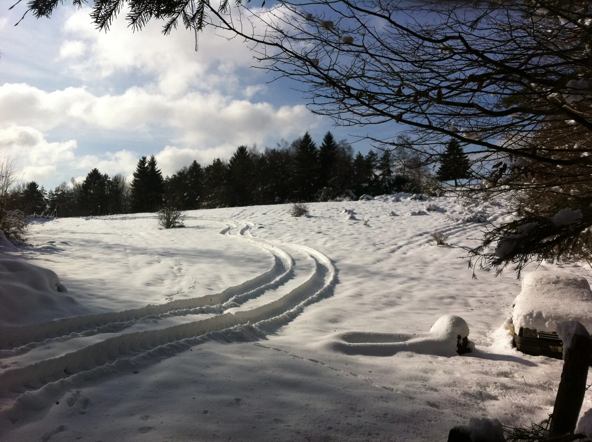 Chemin enneigé entre les arbres en hiver