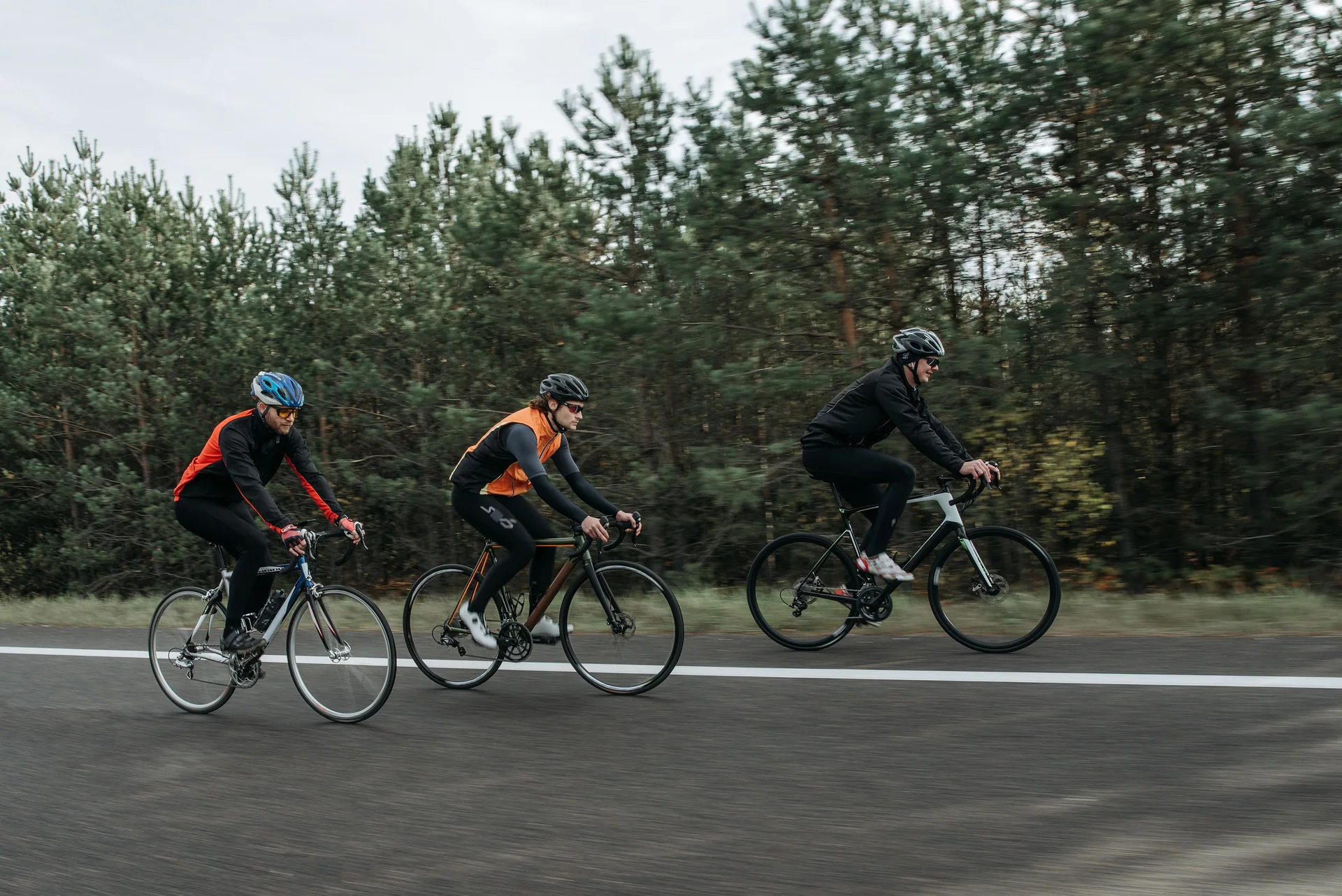 Groupe de cyclistes sur une route bordée d’arbres