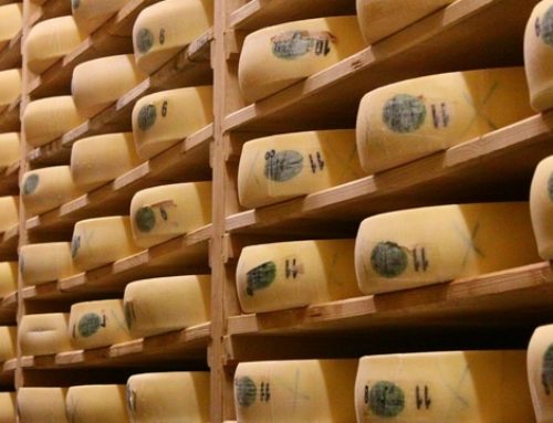 Le Comté, Histoire d’un grand fromage