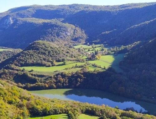 Activités nature dans nos gîtes entre Lyon et Genève