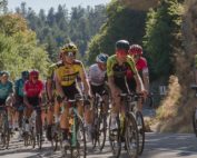 Le Tour de France près de nos gîtes