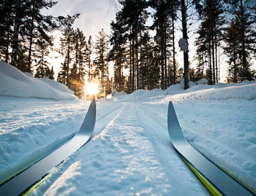 ski près de nos gîtes  à 1h de Lyon dans le Jura