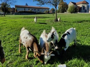 Un grand gîte à la ferme