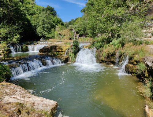 Disponibilités de notre gîte de groupe à la ferme dans le Sud Jura (15 personnes